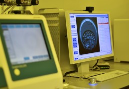 热点追踪：泰国哪家试管婴儿医院较好“热门”泰国做3代试管医院排行榜前7？