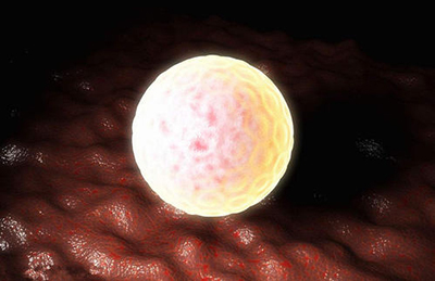 火星干细胞,干细胞科技