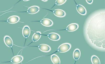 泰国ibaby试管费用,泰国试管婴儿费用cnangelbaby